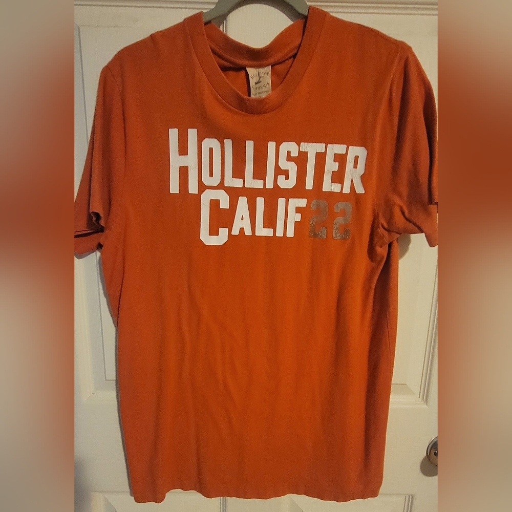 Hollister T shirt men's L